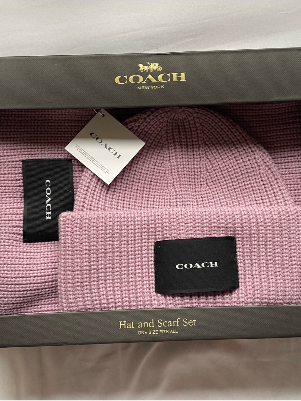 Coach Pink Ribbed Knit Hat & Scarf Set